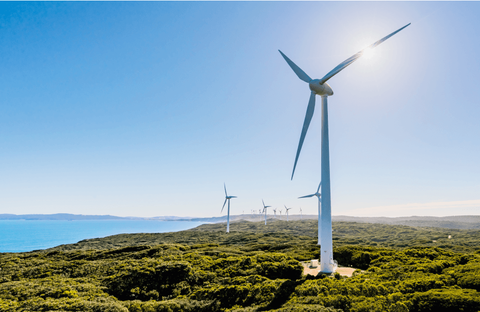 Photo of wind turbines